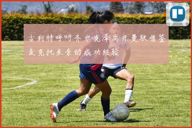古利特呼吁齐尔克泽离开曼联借鉴麦克托米奈的成功经验